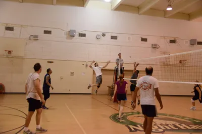 DSC_1875 (Large).JPG